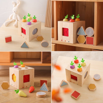 Wooden Geometric Shape Toys